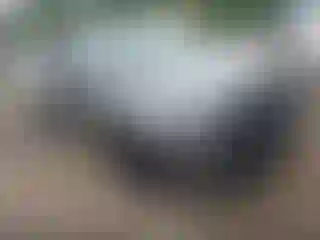 Vehicle Image- 2019 Toyota Highlander