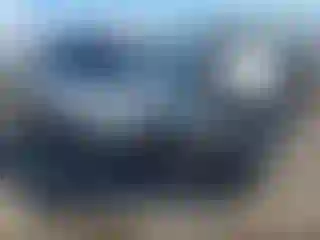 Vehicle Image- 2019 Toyota Highlander