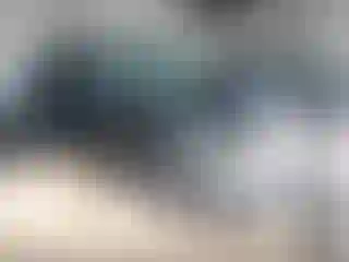 Vehicle Image- 2019 Toyota Highlander