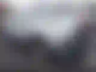 Vehicle Image- 2019 Toyota Highlander