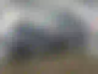 Vehicle Image- 2019 Toyota Highlander