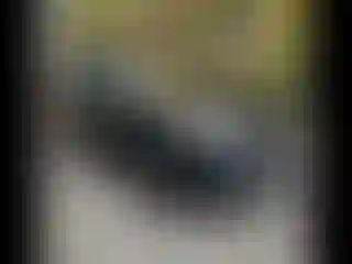 Vehicle Image- 2019 Toyota Highlander