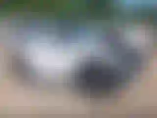 Vehicle Image- 2024 Toyota Highlander