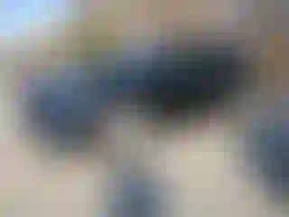 Vehicle Image- 2023 Toyota Highlander