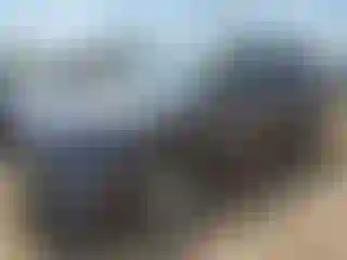 Vehicle Image- 2024 Toyota Highlander