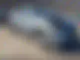 Vehicle Image- 2023 Toyota Highlander