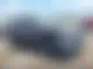 Vehicle Image- 2023 Toyota Highlander