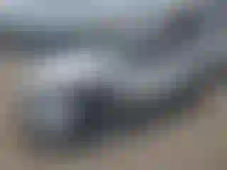 Vehicle Image- 2025 Toyota Highlander
