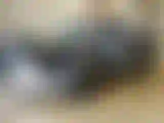 Vehicle Image- 2024 Toyota Highlander