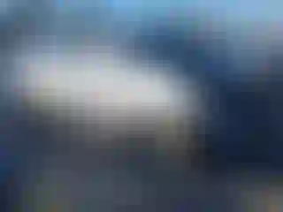 Vehicle Image- 2011 Toyota Sienna