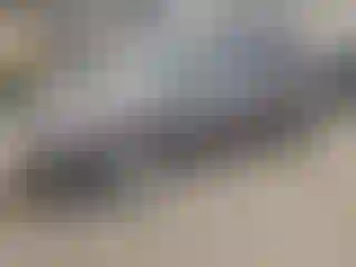 Vehicle Image- 2011 Toyota Sienna