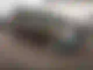 Vehicle Image- 2014 Toyota Sienna