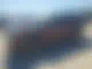 Vehicle Image- 2016 Toyota Highlander