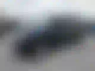 Vehicle Image- 2019 Toyota Sequoia