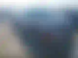 Vehicle Image- 2019 Toyota Highlander