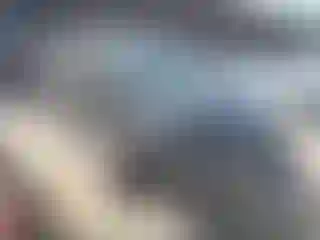 Vehicle Image- 2019 Toyota Highlander