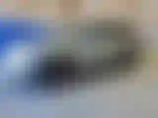 Vehicle Image- 2019 Toyota Highlander