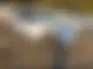 Vehicle Image- 2017 Toyota Highlander