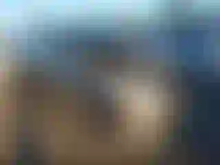 Vehicle Image- 2017 Toyota Highlander