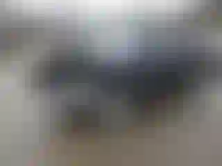 Vehicle Image- 2023 Toyota Highlander