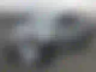 Vehicle Image- 2020 Toyota Sienna