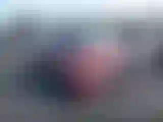 Vehicle Image- 2020 Toyota Sienna