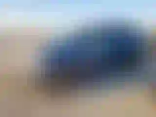 Vehicle Image- 2013 Toyota Sienna