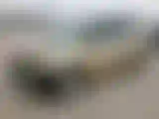 Vehicle Image- 2011 Toyota Sienna