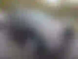 Vehicle Image- 2015 Toyota Highlander