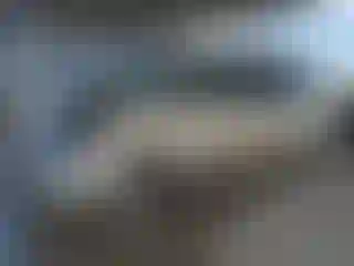 Vehicle Image- 2004 Toyota Sienna