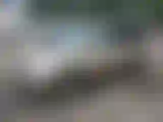 Vehicle Image- 2004 Toyota Sienna