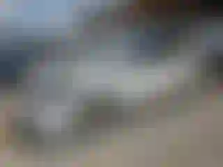 Vehicle Image- 2004 Toyota Sienna