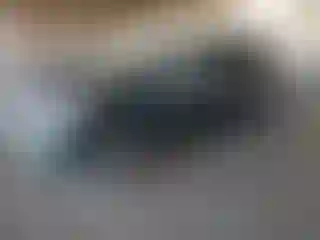 Vehicle Image- 2004 Toyota Sienna