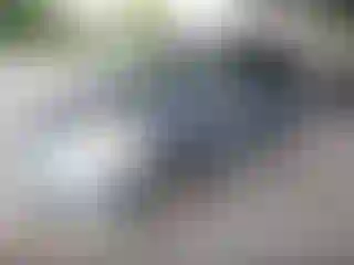 IMPORTOWO.pl