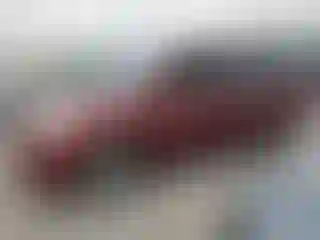 Vehicle Image- 2004 Toyota Sienna