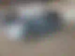 Vehicle Image- 2004 Toyota Sienna
