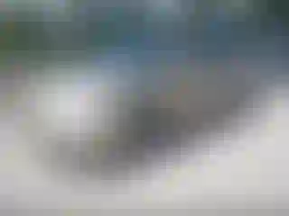 IMPORTOWO.pl
