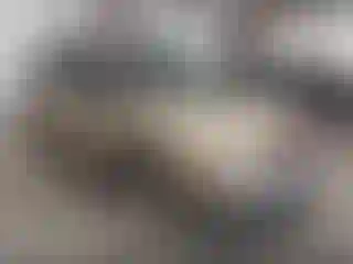 Vehicle Image- 2004 Toyota Sienna