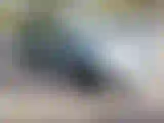 Vehicle Image- 2004 Toyota Sienna