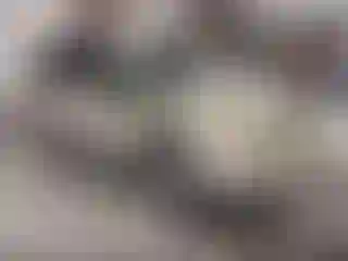 Vehicle Image- 2004 Toyota Sienna