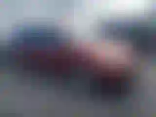 Vehicle Image- 2006 Toyota Sienna