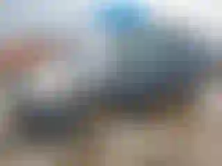 Vehicle Image- 2006 Toyota Sienna