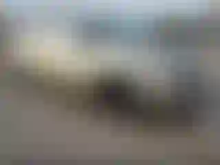 Vehicle Image- 2004 Toyota Sienna