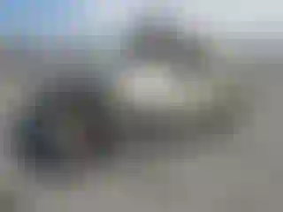 Vehicle Image- 2004 Toyota Sienna