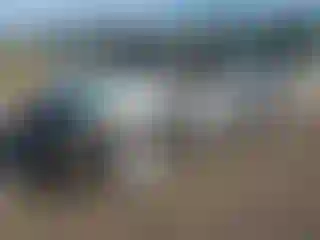 Vehicle Image- 2005 Toyota Sienna