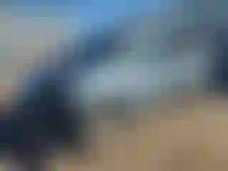 Vehicle Image- 2006 Toyota Sienna