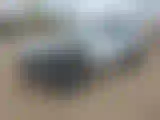 Vehicle Image- 2019 Toyota Highlander