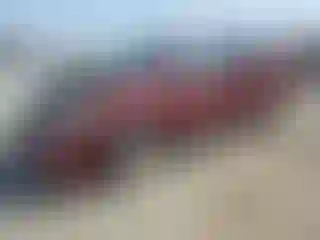 Vehicle Image- 2008 Toyota Sienna