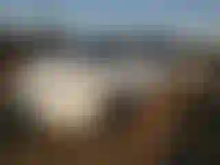 Vehicle Image- 2008 Toyota Sienna