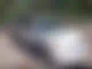 Vehicle Image- 2008 Toyota Sienna